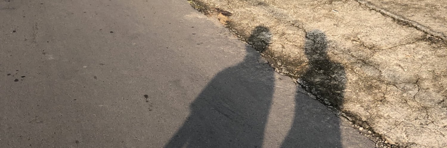 cameliapd's profile banner image