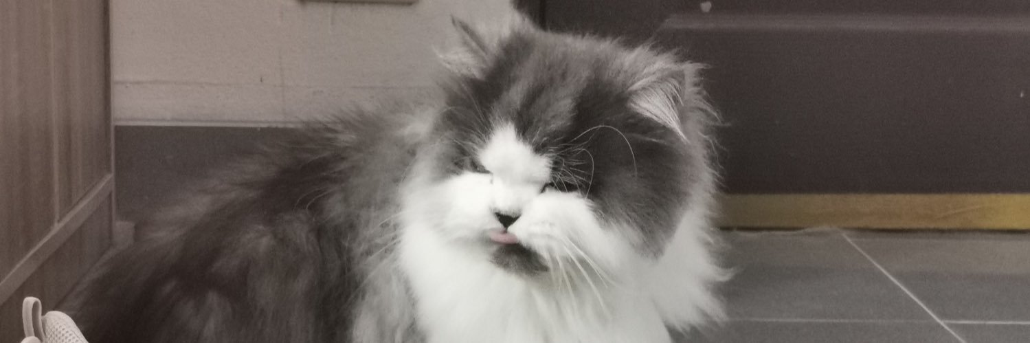 Mimi 🦭 banner