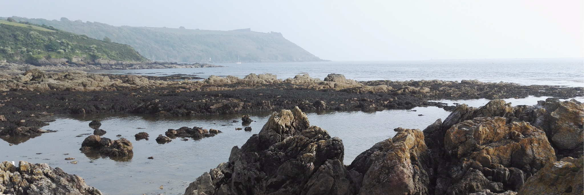 PlymGirlMBO's profile banner image