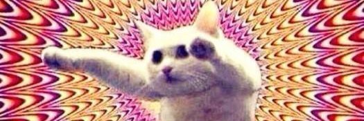 macgioo's profile banner image