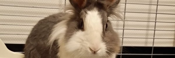 pistatio8 Profile Banner