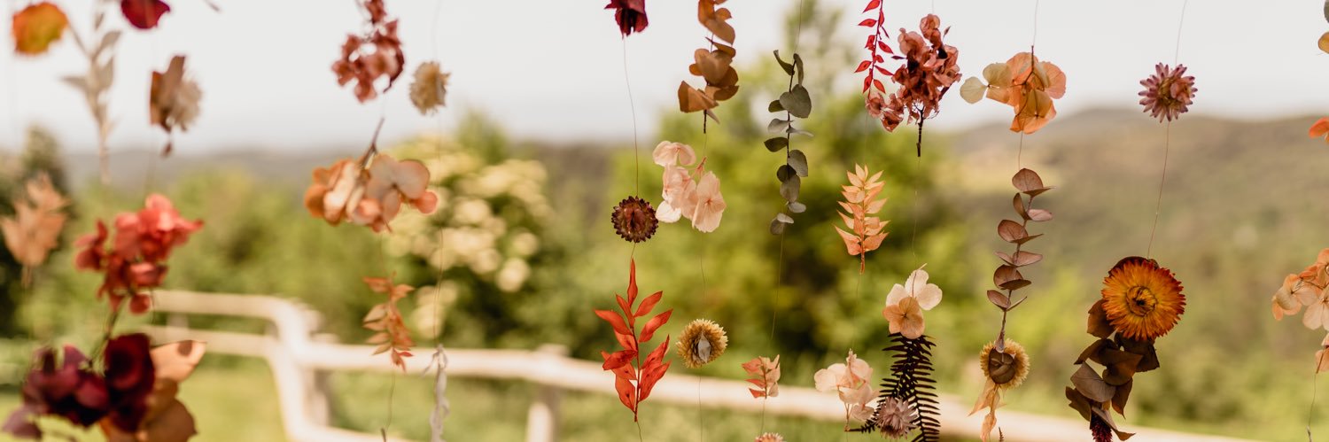 emilyjaynereece's profile banner image