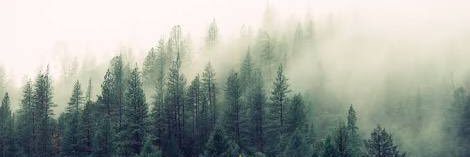 mark_javillonar's profile banner image