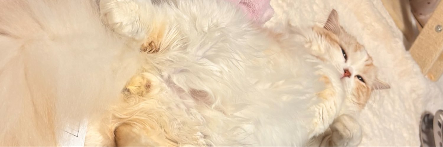 mip_24's profile banner image