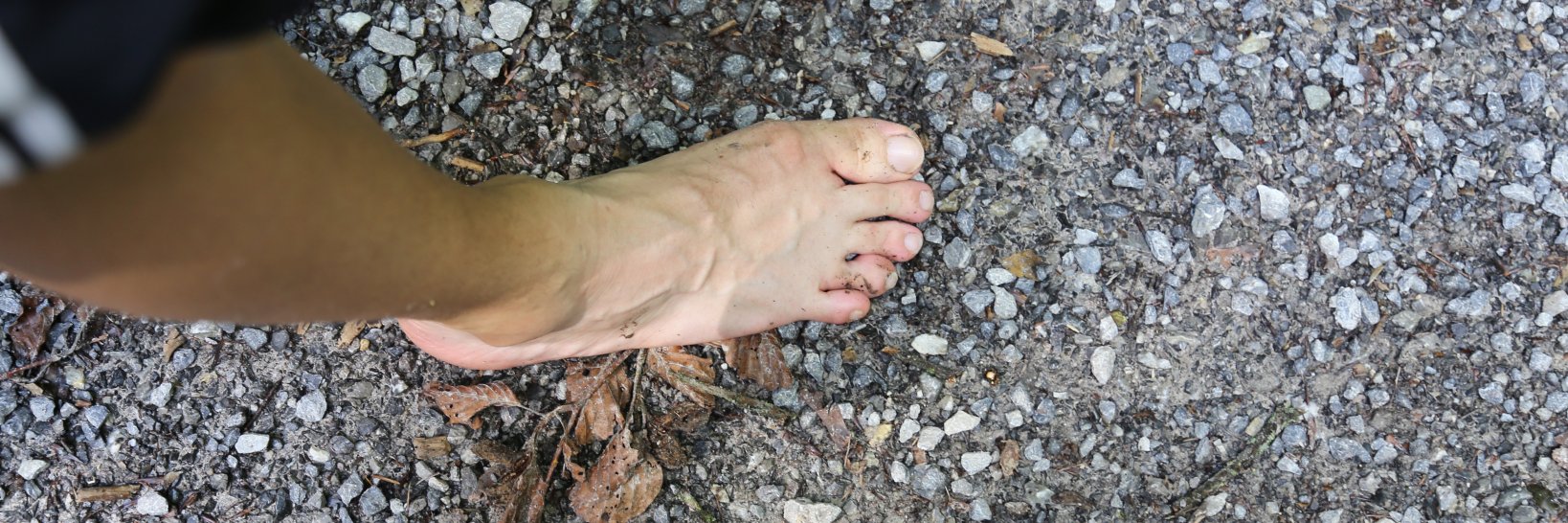 swissfootmaster's profile banner image