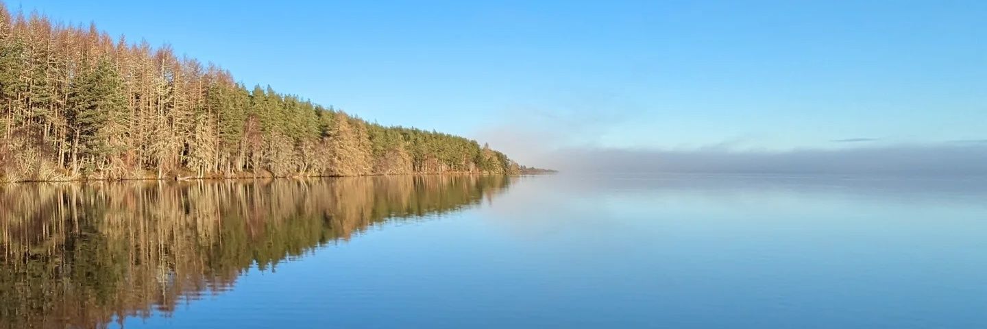 Moya 🏴󠁧󠁢󠁳󠁣󠁴󠁿 banner