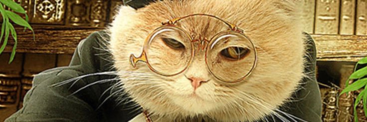 Эммануэль Котофио 🇺🇦🇦🇲🇮🇱 banner