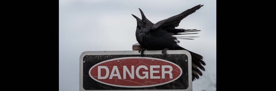 Μ (Μέλι) 🪬 banner