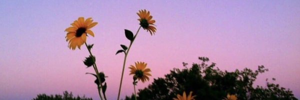 kaysecadena Profile Banner