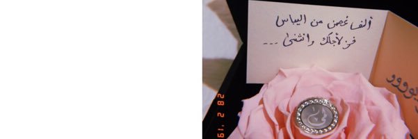 LamaEtch's profile banner image