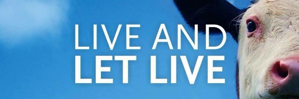 ChelseaTurcer's profile banner image