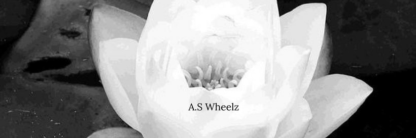 AS_Wheelz's profile banner image