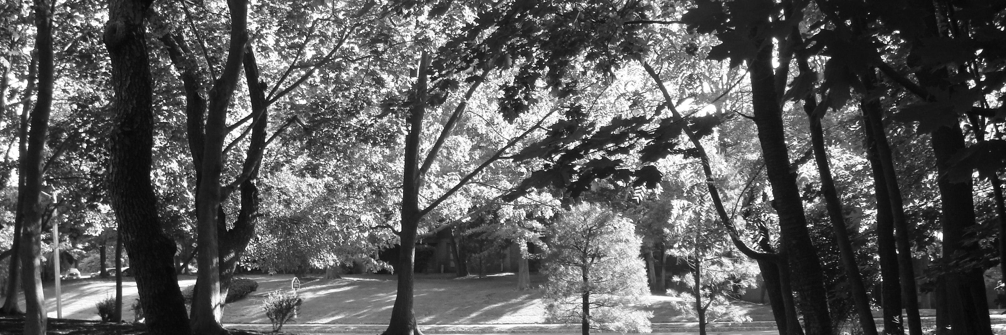 morethanlove616's profile banner image