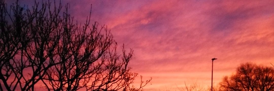 icosycalum's profile banner image