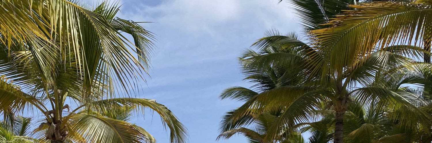 danielatbr_'s profile banner image