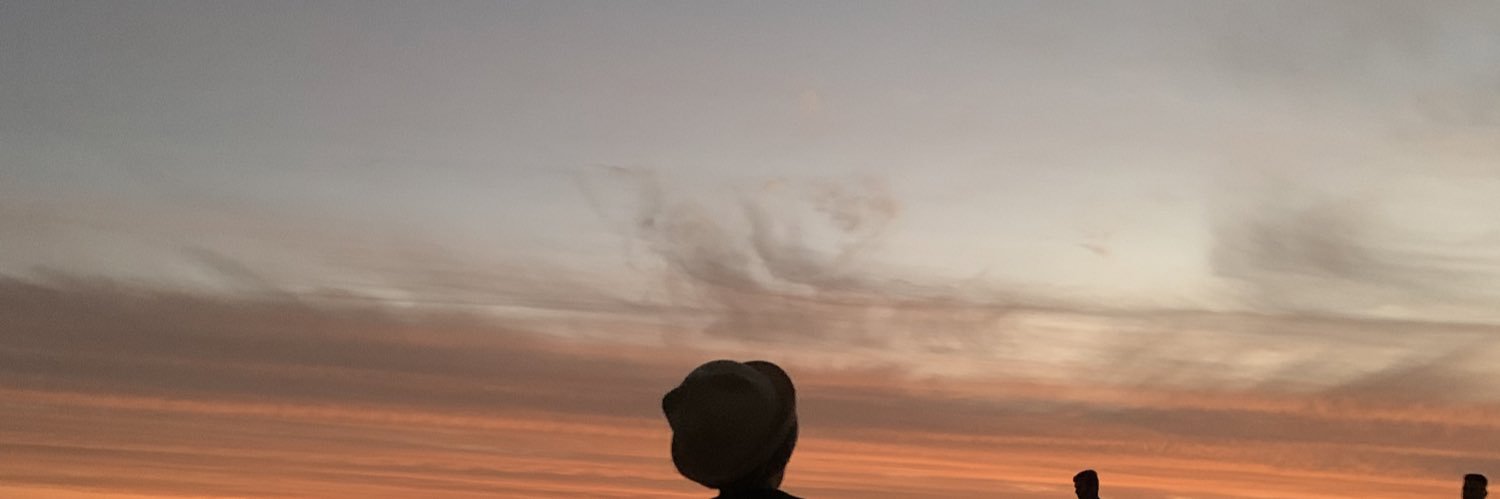 laissos_'s profile banner image