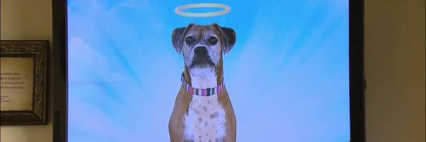 alexharston Profile Banner