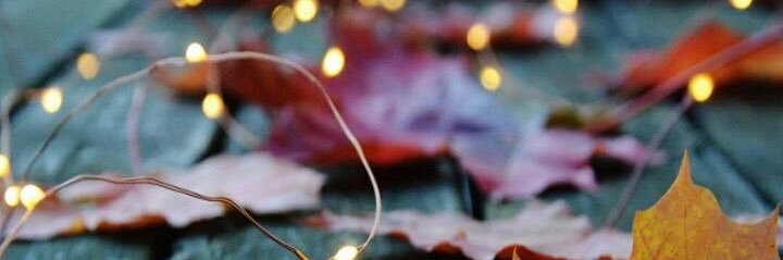chloee_phillips's profile banner image