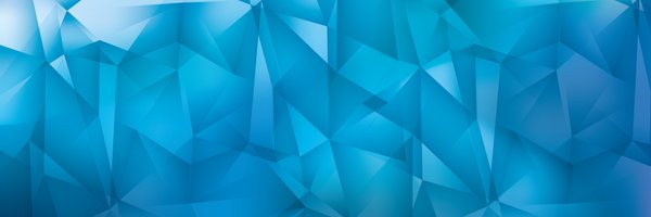 WardinRock Profile Banner