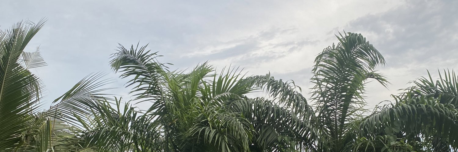 Moskeiy's profile banner image