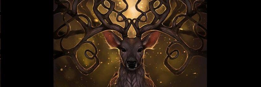 derkadyaa's profile banner image
