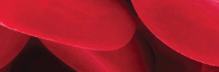 mpnstichting's profile banner image