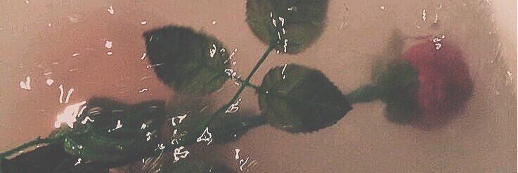 7tkhr___'s profile banner image