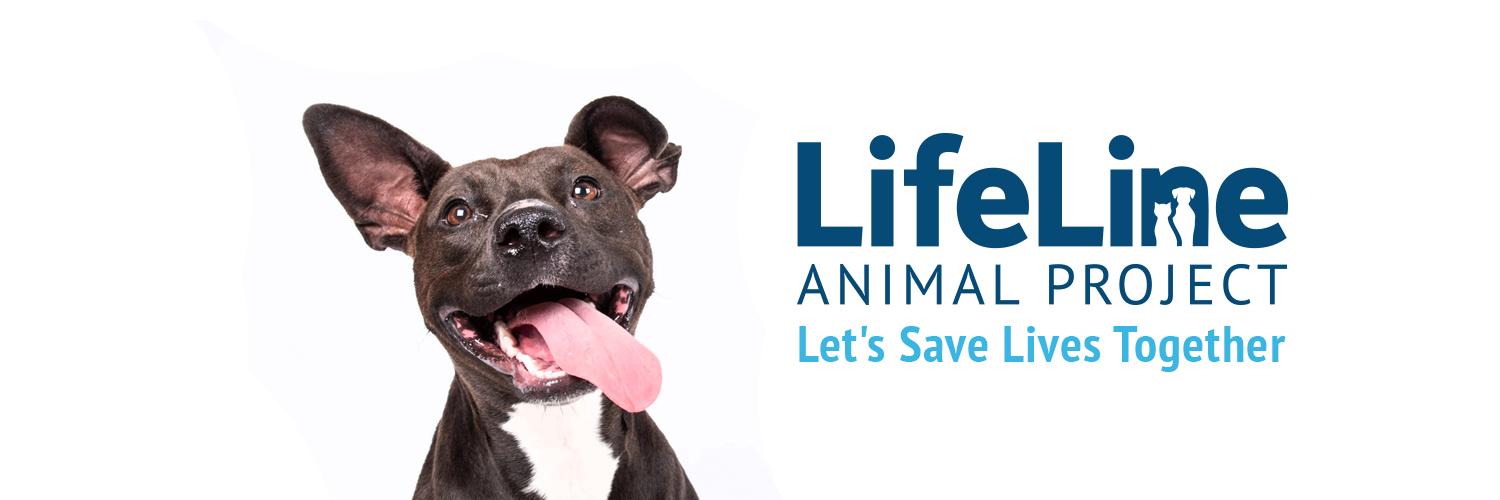 lifelineanimal's profile banner image
