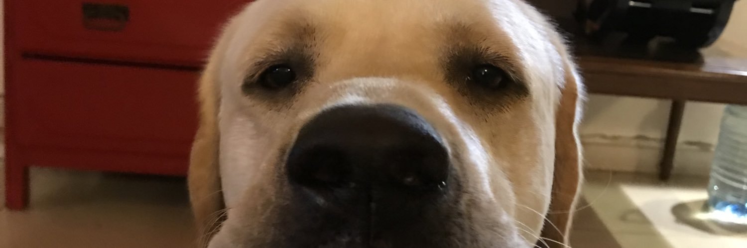 jimenadlp1's profile banner image