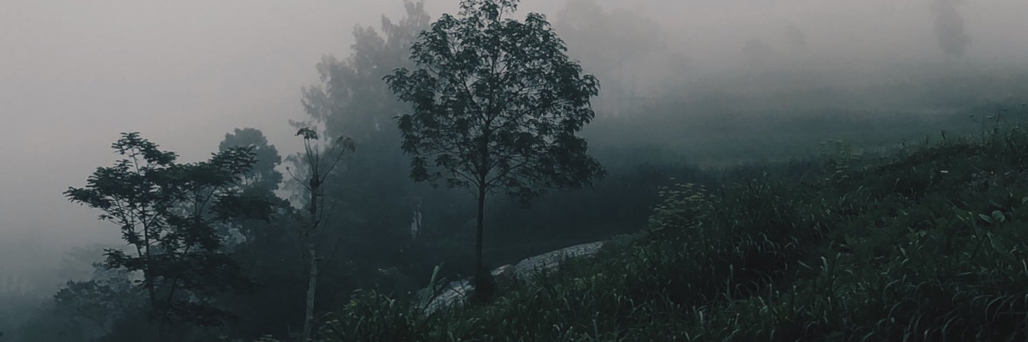 WllDYA's profile banner image