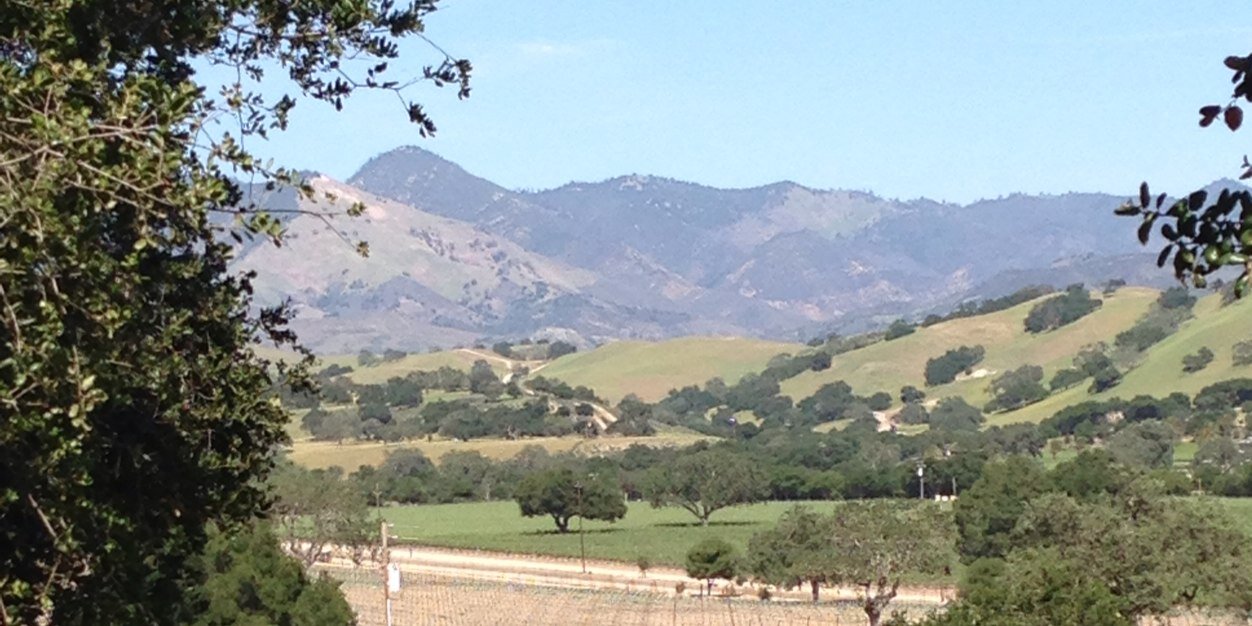 Chris Schuler banner