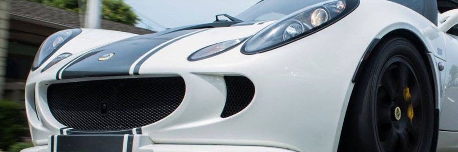 BluebirdMops's profile banner image