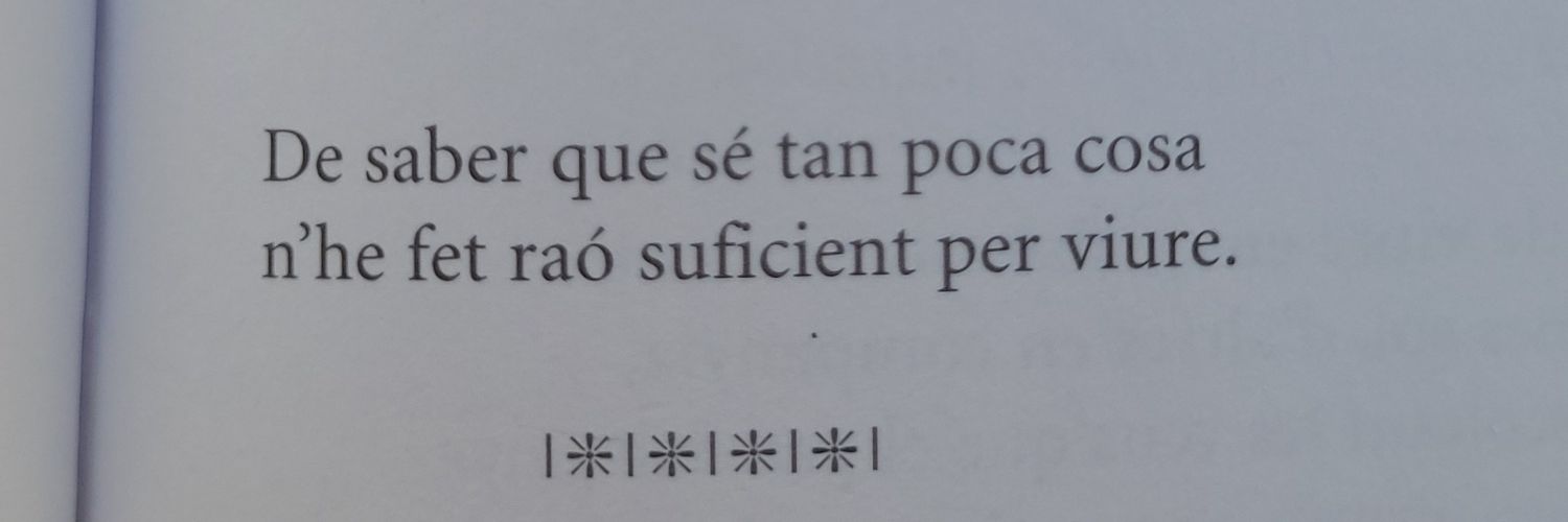 nuriavicens's profile banner image