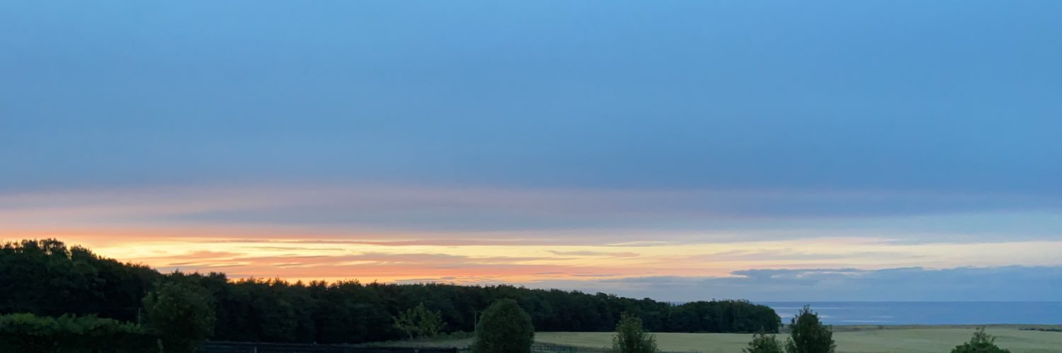 James Dickinson banner