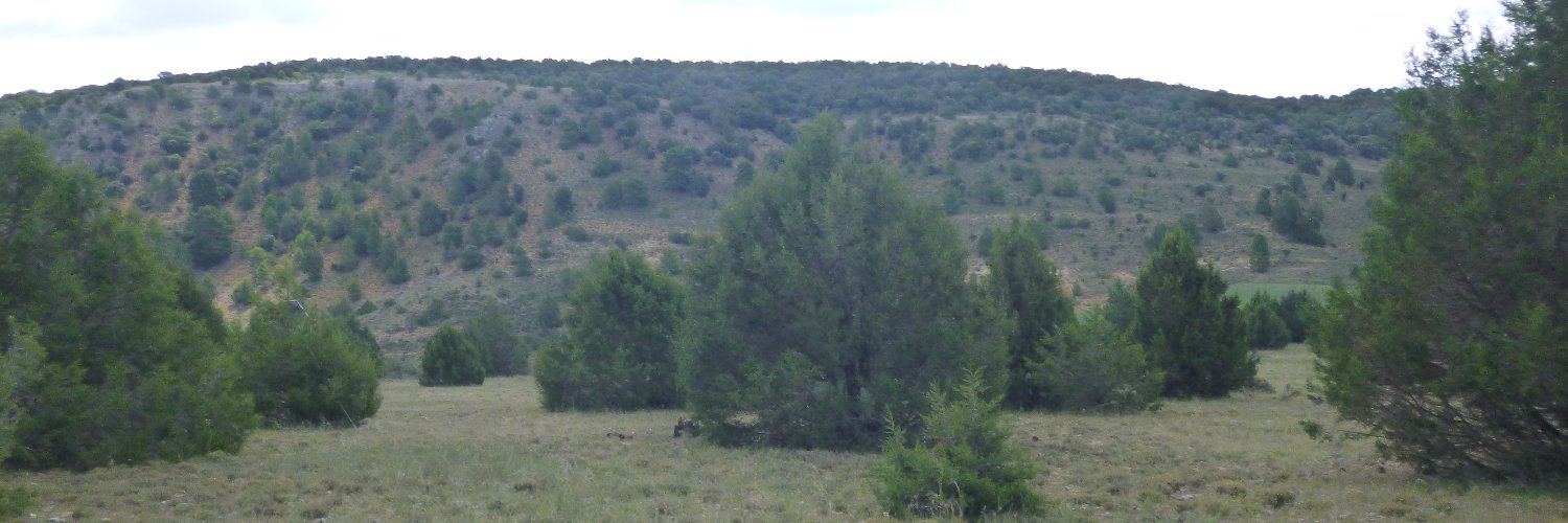 aforsa's profile banner image