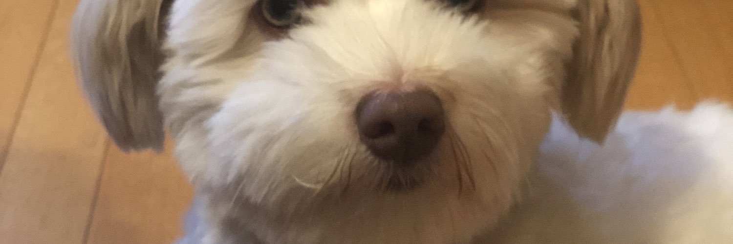 StephKilfoil's profile banner image