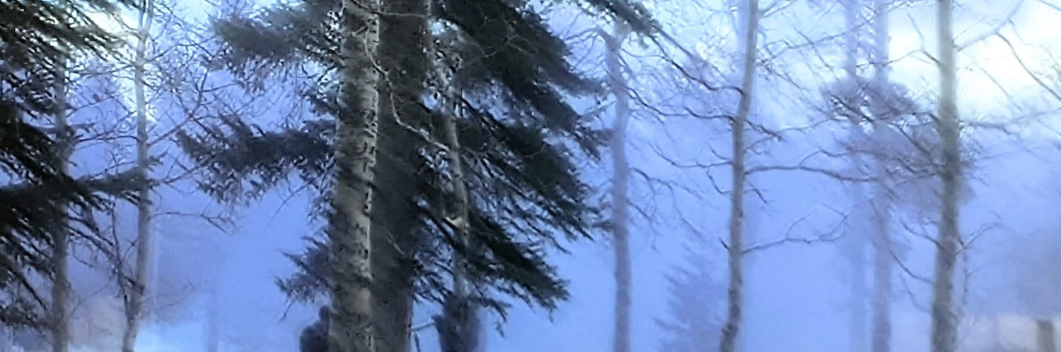 skllandbones33's profile banner image