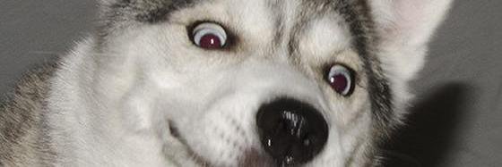 EthansEmotional's profile banner image