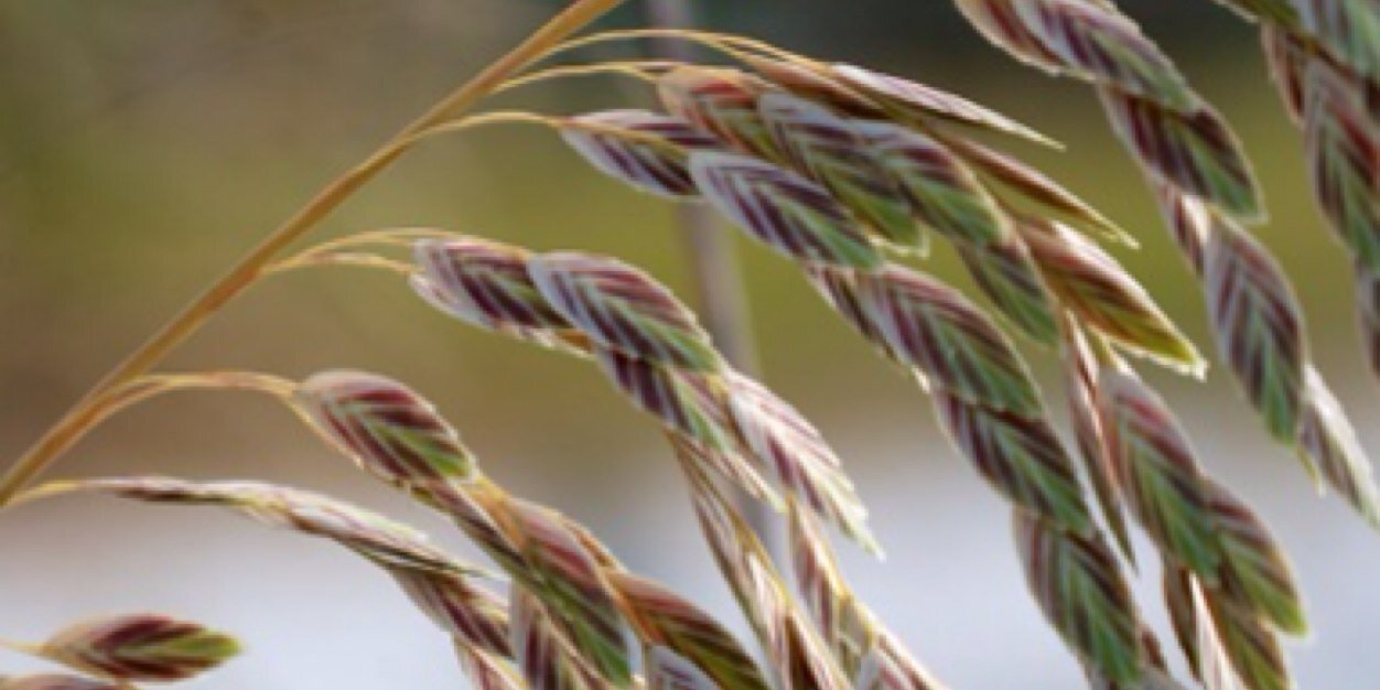 ianmireland's profile banner image