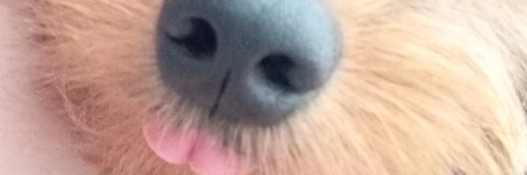 _misstep's profile banner image