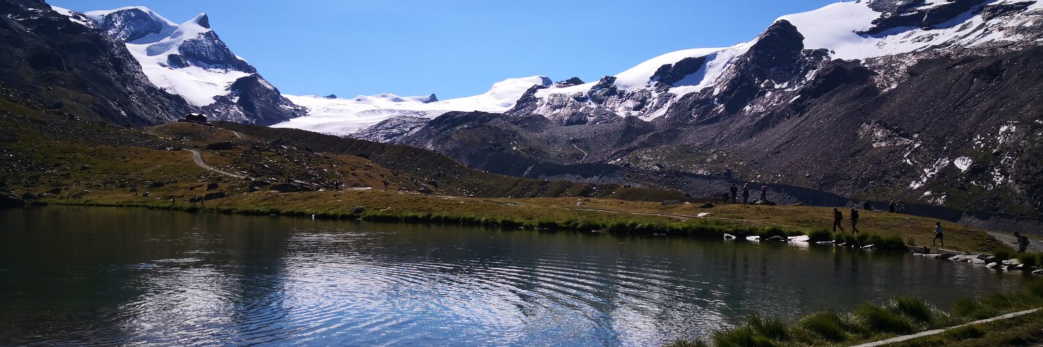 Nicole Scobie banner