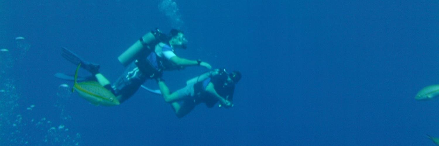 Human Nerve Ending banner