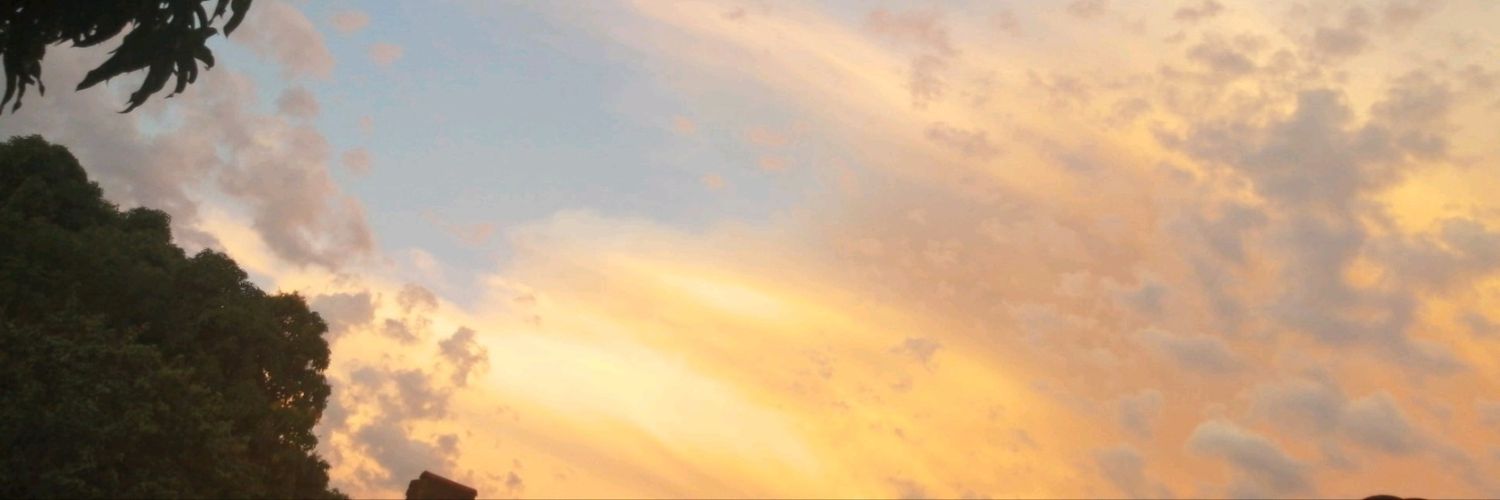 arami_leite's profile banner image
