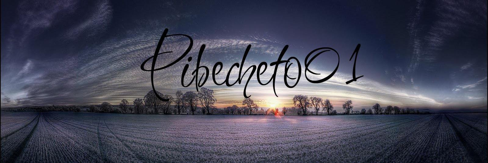 PibeCheto01's profile banner image