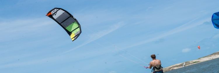 Brunofly's profile banner image