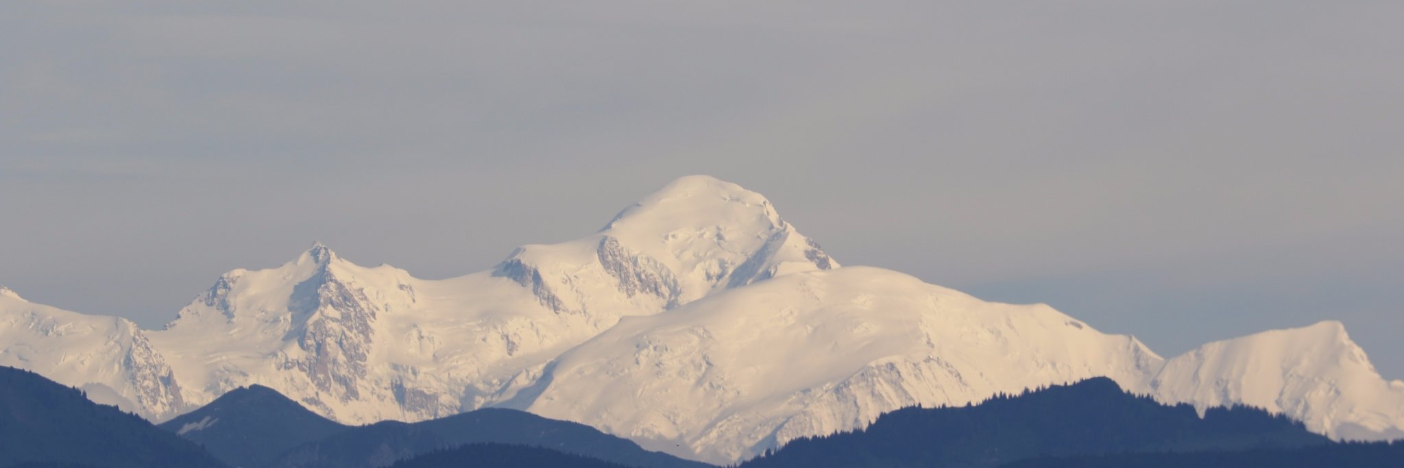 martintorekov's profile banner image