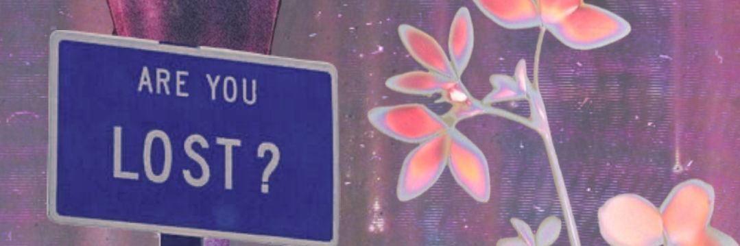 TaylorJaneRose's profile banner image