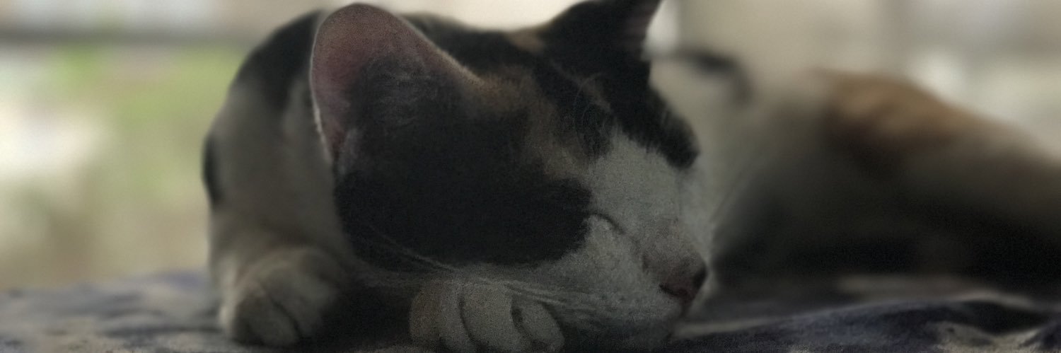 R14tomato's profile banner image