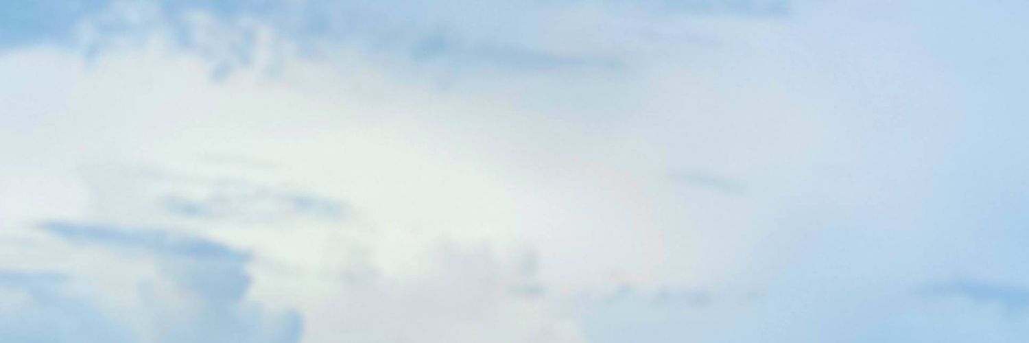 RUL banner