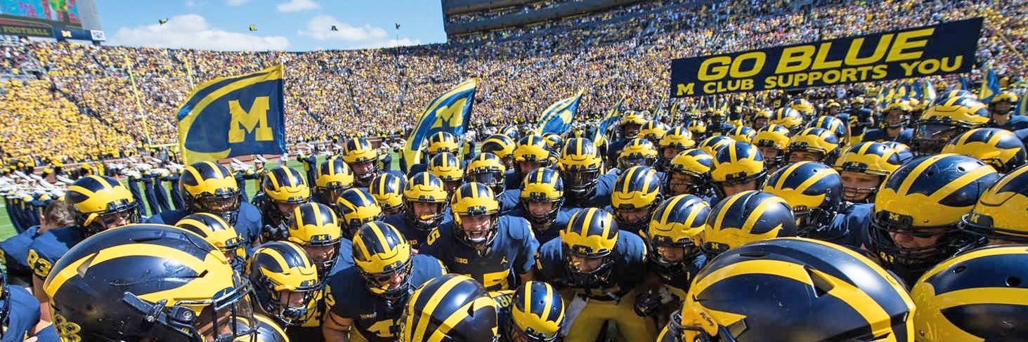 FnA Wolverines banner